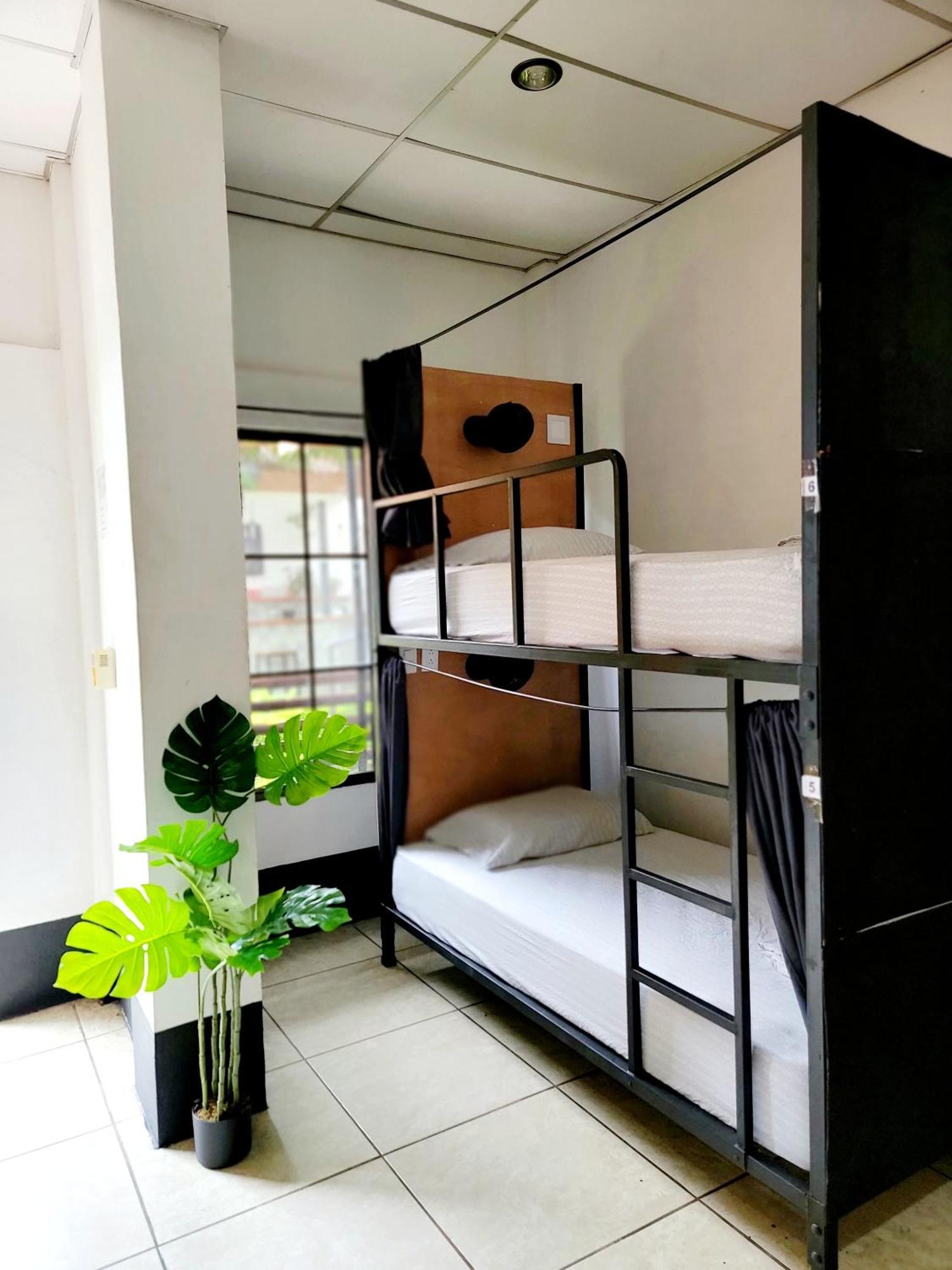 Poco A Poco Hostel เลออน ภายนอก รูปภาพ